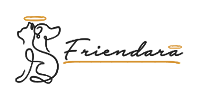 friendara logo