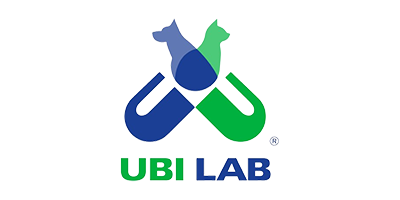 ubi lab logo